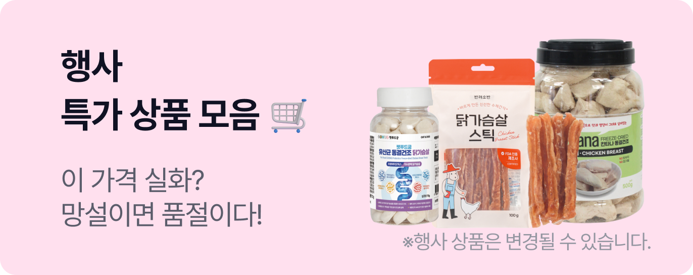 세일 이벤트 배너